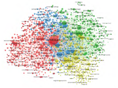 Bibliometric network VOSviewer® Chitosan.