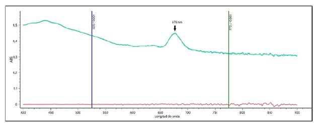 Patrn de absorbancia de luz para una muestra de cultivo de Chaetoceros calcitrans escaneada entre 400 y 900 nm. La flecha oscura indica el pico de absorbancia para esta especie. nm = nanmetros.