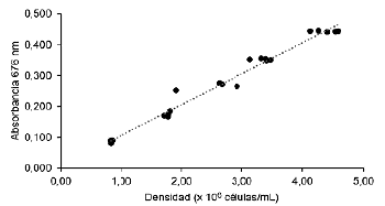 Relacin entre la absorbancia y la densidad celular de Chaetoceros calcitrans. nm = nanmetros.