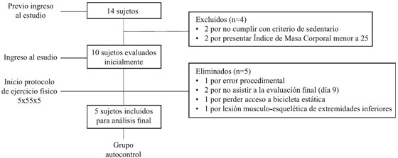 Flujograma
descriptivo de la determinaci&oacute;n de la muestra utilizada en la investigaci&oacute;n.