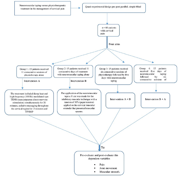 Flowchart of the study design.