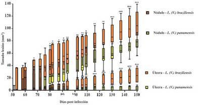Evoluci&oacute;n de las lesiones producidas en ratones BALB/c infectados con Leishmania. La figura muestra en diferentes d&iacute;as post-infecci&oacute;n el &aacute;rea (mm2) del n&oacute;dulo y de la &uacute;lcera que presentaron los ratones infectados con L. (V.) panamensis (amarillo) y L. (V.) braziliensis (naranja) *Diferencias significativas p<0,05 ** p<0,01 ***p< 0,005.