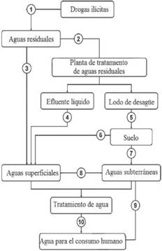 Origen y destino de drogas il&iacute;citas en el ambiente
