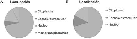 Localizaci&oacute;n de prote&iacute;nas identificadas. A- Clasificaci&oacute;n de las prote&iacute;nas seg&uacute;n su localizaci&oacute;n celular. B-Clasificaci&oacute;n de prote&iacute;nas diferencialmente expresadas entre sujetos obejos normogluc&eacute;micos y sujetos obesos diab&eacute;ticos. Datos extra&iacute;dos del software Ingenuity Pathway Analysis (IPA) y de la base de datos Panther.