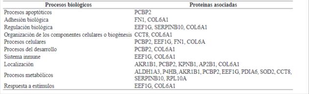 Procesos biol&oacute;gicos en los que participan prote&iacute;nas diferencialmente expresadas.
