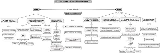 Siglas ADS: Alteraciones del Desarrollo Sexual. HSC: Hiperplasia Suprarrenal Cong&eacute;nita. CYP21A2: Enzima 21 hidroxilasa. CYP11B1: Enzima 11-b hidroxilasa. HSD3B2: Enzima 3-beta hidroxiesteroidedeshidrogenasa 2. HSD17B3: Enzima 17-beta hidroxiesteroidedeshidrogenasa. CYP11A1: Escisi&oacute;n de la cadena lateral de colesterol. SRD5A2: 5 alfareductasa 2 Fuente: Realizada por autores.