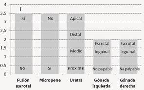 Escala de grado de masculinizaci&oacute;n en 46XY8.