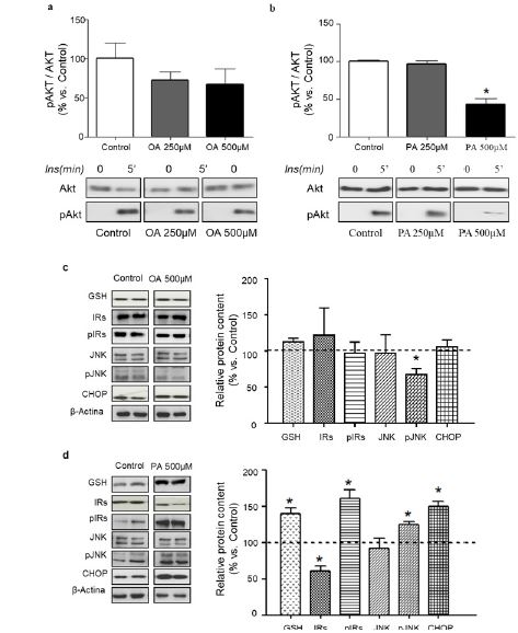 Effects of OLA and PAM models on 3T3L1 adipocytes insulin signalling pathway Insulin response pAktAkt ratios of 3T3L1 cells exposed to a OLA or b PAM at different concentrations 250 μMgray bars and 500 μMblack bars After treatments control and treated cells were stimulated with insulin 100 nM during 5 min Cell lysates were analysed for Akt and pAkt content Representative immunoblots of GSH IRs pIRs JNK pJNK left panel and quantification of protein levels right panel in 3T3L1 adipocytes cultured for 18 h in the absence Control or presence of c OLA or d PAM Data were normalised to βActin Data are expressed as a percentage of the values respect to the control 100% Values are the mean  SEM Differences between groups were analysed by oneway ANOVA followed by Scheffe test *P  005