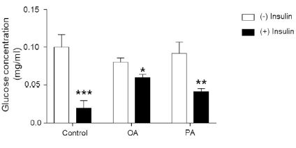 Glucose uptake of adipocytes exposed to OLA or PAM The effect of 500 μM OLA or PAM induction cells model on glucose oxidase assay Bar graphs show glucose levels in OLA or PAMinsulin presence  or absence  of six observations expressed as glucose concentration mgml Values are the mean  SEM Differences between groups were analysed by oneway ANOVA followed by Scheffe test *P  005 **P  001 ***P  0001 vs Control
