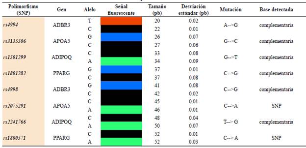 Detecci&oacute;n de las muestras en la electroforesis capilar.