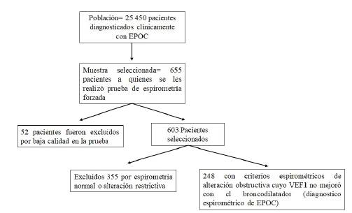 Esquema general del estudio Esquema general del estudio.