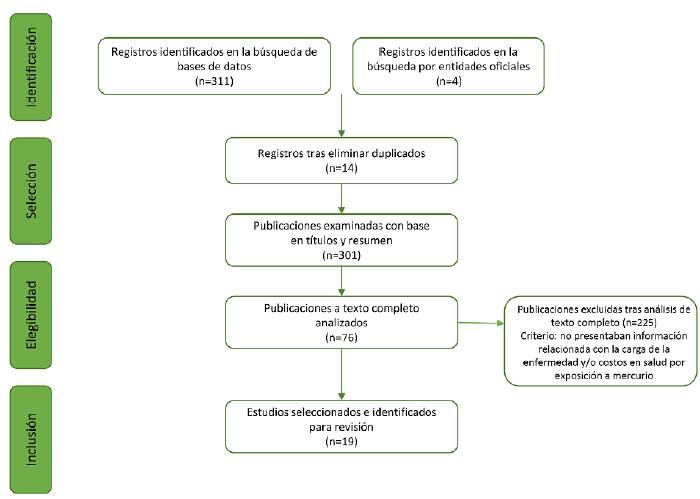Diagrama de flujo del proceso de revisi&oacute;n