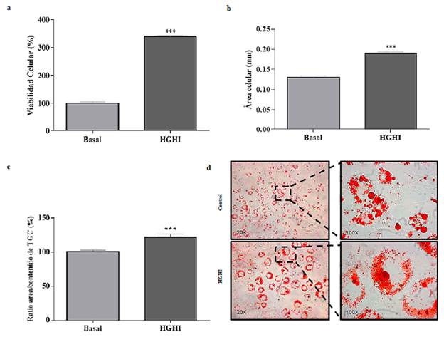 Caracterizaci&oacute;n del modelo HGHI in vitro. (a) viabilidad celular, (b) di&aacute;metro celular, (c) Ratio de &aacute;rea celular/ contenido de triglic&eacute;ridos (TGC) y (d) morfolog&iacute;a de las c&eacute;lulas con coloraci&oacute;n de triglic&eacute;ridos, Oil Red-O. Los valores evaluados representan la media &plusmn; SEM. Las diferencias entre grupos se analizaron mediante ANOVA de una v&iacute;a seguido de la prueba de Dunnett: *P<0,05; **P<0,01; y ***P<0,001 respecto al control.