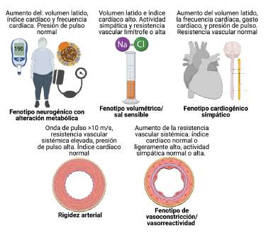 Fenotipos intermedios de HTA esencial. Adaptado de: 9