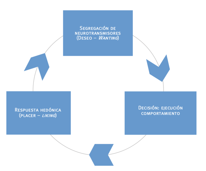 Ciclo de la motivación