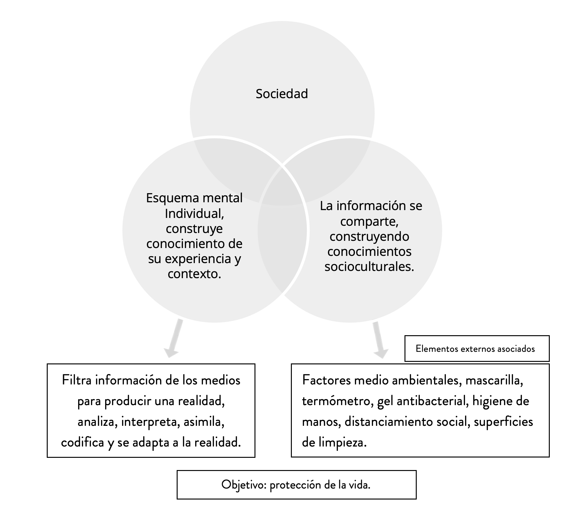 Construcción social del Covid-19. Adaptación teoria Vygostsky