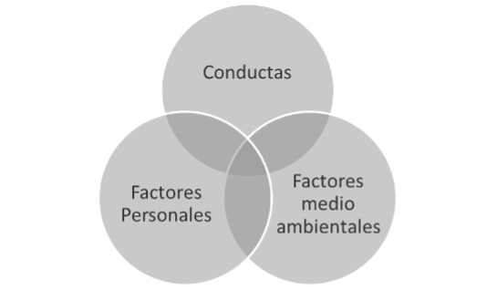 Elementos del determinismo recíproco