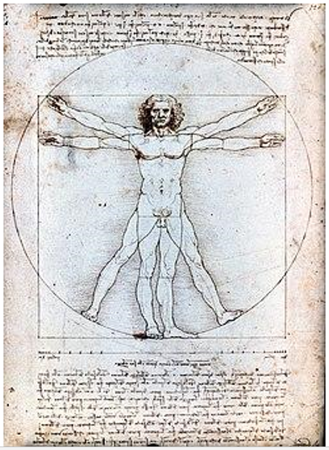 The Vitruvian Man or study of the ideal proportions of the human body
