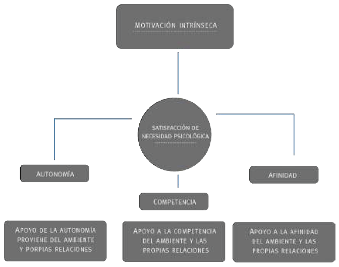 Continuo de la autodeterminaci�n que muestra los tipos de motivaci�n
