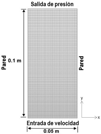 Geometr�a del dominio computacional.