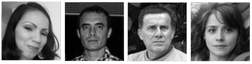 Examples of recovered images storing 20% of FP of package, for a number of images in package N=729.