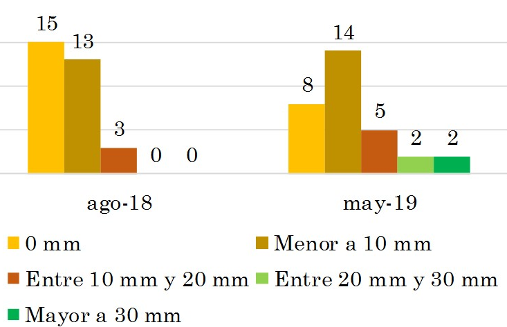 Histograma de precipitación para agosto de 2018 y abril de 2019.