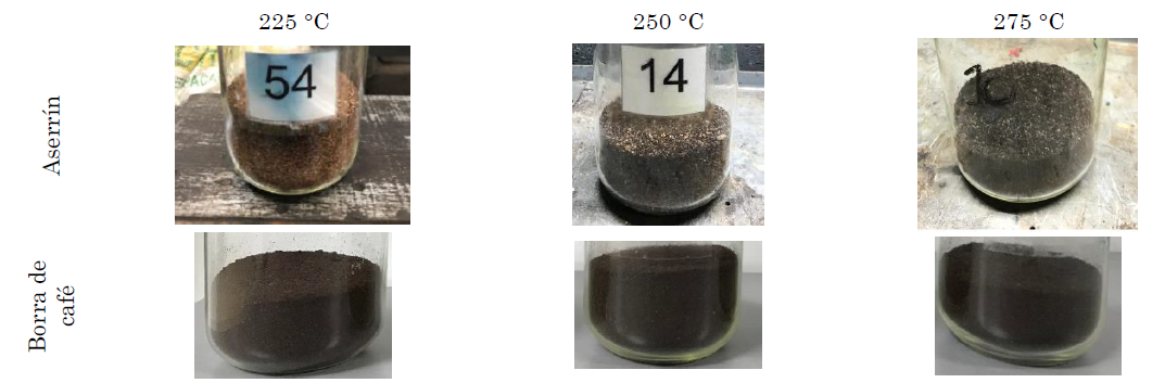 Muestras de aserrín y borra de café torrefactadas