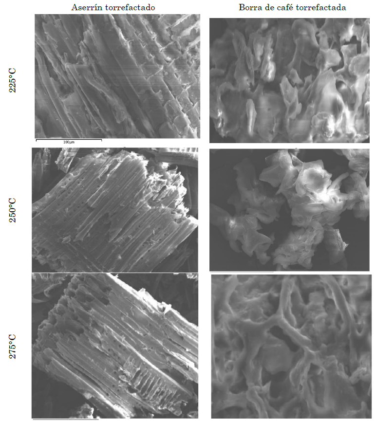 SEM de biocarbón de aserrín y de la borra de café a 225 °C, 250 °C y 275 °C