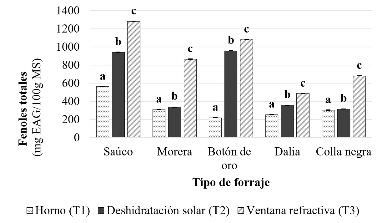  Contenido de fenoles totales de los forrajes sometidos a diferentes tipos de secado 