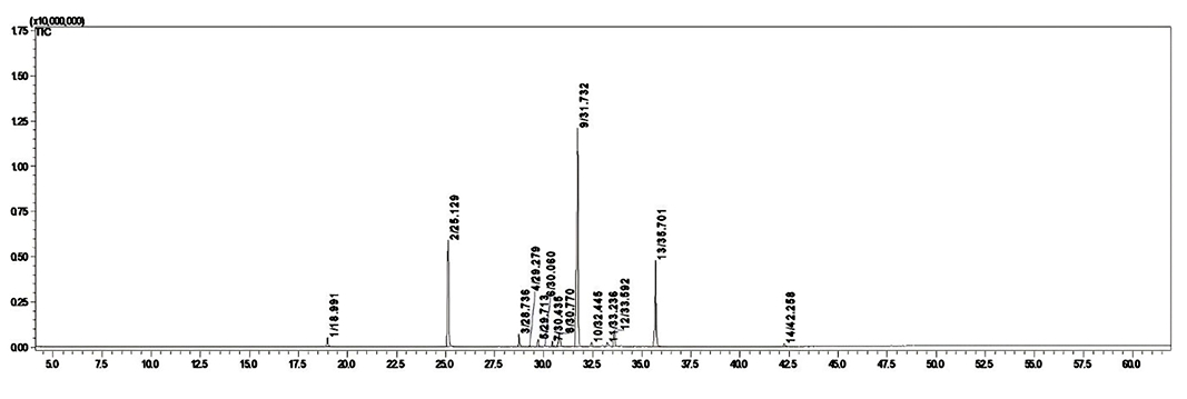  Cromatograma para el aceite esencial de las hojas de Peperomia subspathulata por hidrodestilaci�n convencional 