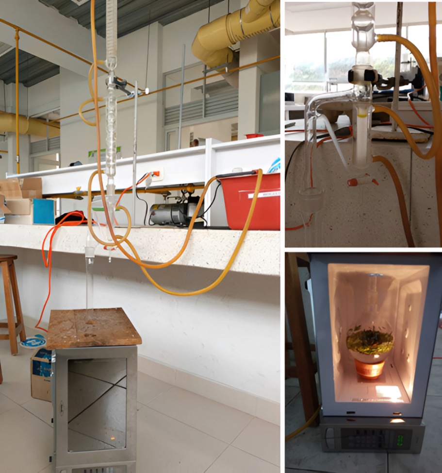 Sistema de extracci�n asistido por microondas