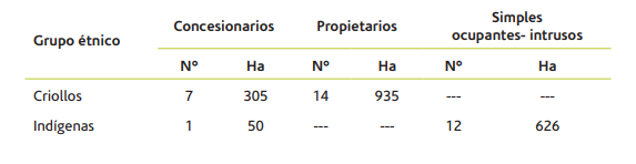 Ocupaci&oacute;n del
lote 15 entre 1931-1950
