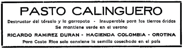 Imagen sobre la publicidad del calinguero en 1930