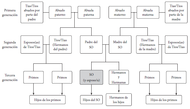 Estructura básica de un mapa de historia de familia