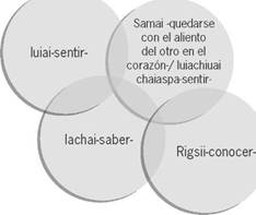 Elementos implicados en el acto de conocer, desde el pueblo Inga.