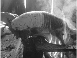 Preparando un armadillo para el almuerzo.