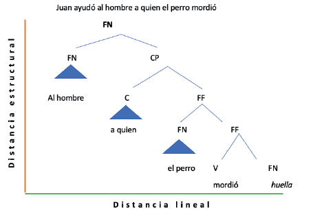 Distancia lineal y distancia estructural 