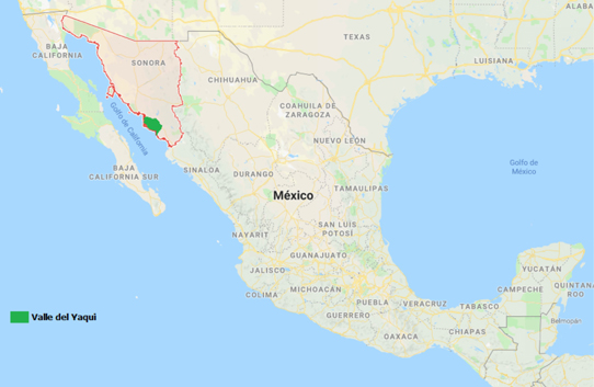 Valle  del Yaqui Sonora, México