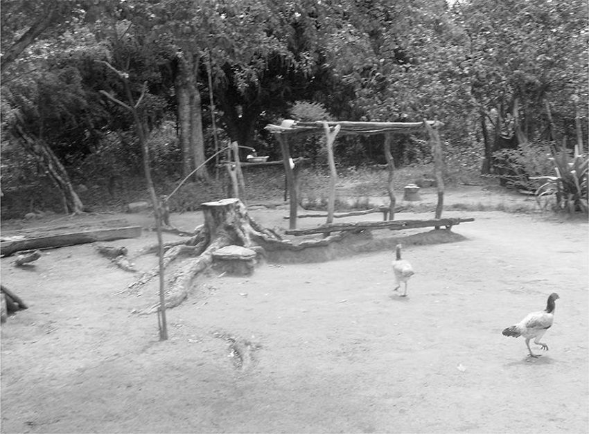 &ndash; Quintal: jirau e &ldquo;&aacute;gua de regra&rdquo;