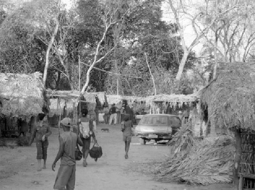 &ndash; Prepara&ccedil;&atilde;o para o festejo