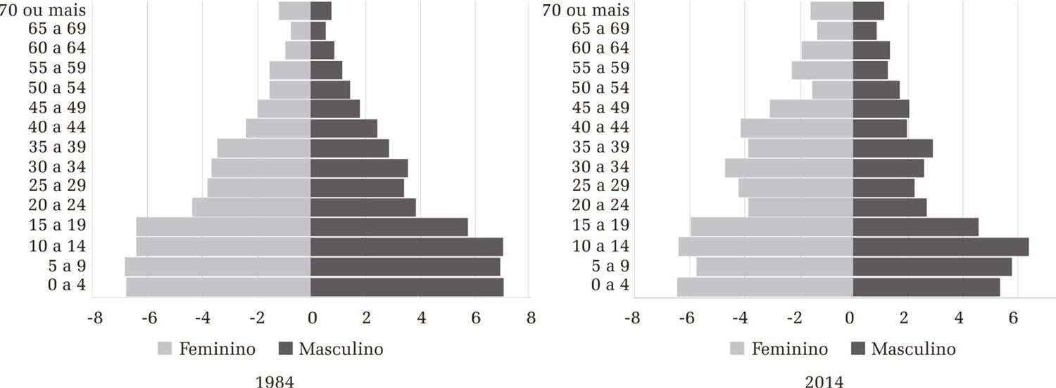 Estrutura et&aacute;ria das pessoas em situa&ccedil;&atilde;o de pobreza na metr&oacute;pole do Rio de Janeiro &ndash; 1984 e 2014