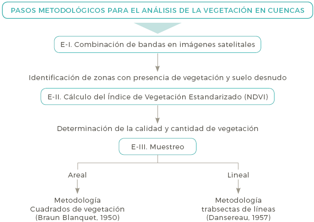 Metodolog&iacute;a para el tratamiento de la vegetaci&oacute;n en cuencas
serranas.