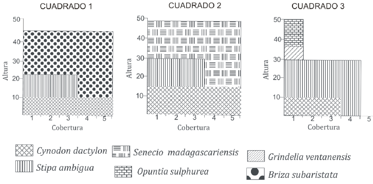 Unidades de muestreo a partir de cuadrados de vegetaci&oacute;n.