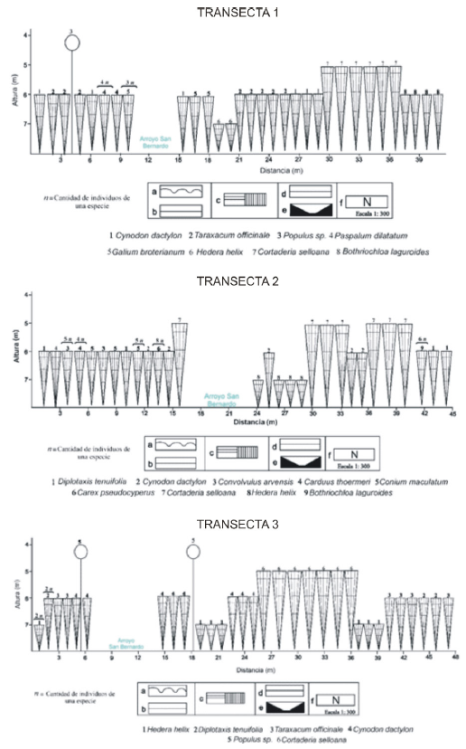 Transectas de vegetaci&oacute;n.