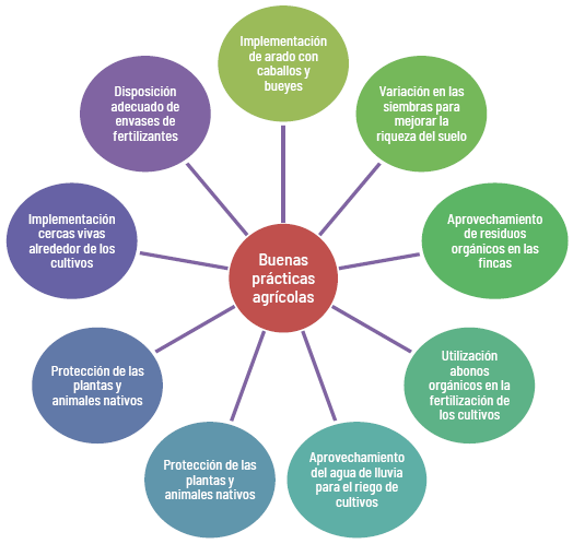 Buenas pr&aacute;cticas agr&iacute;colas identificadas por la poblaci&oacute;n de
estudio