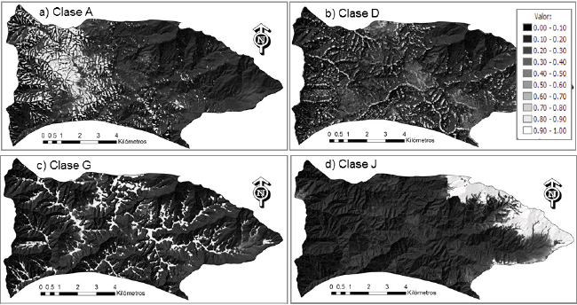 Mapas de valores de las funciones de pertenencia a algunas clases difusas de suelo. Los grados de pertenencia var�an entre 0 (negro) y 1 (blanco)