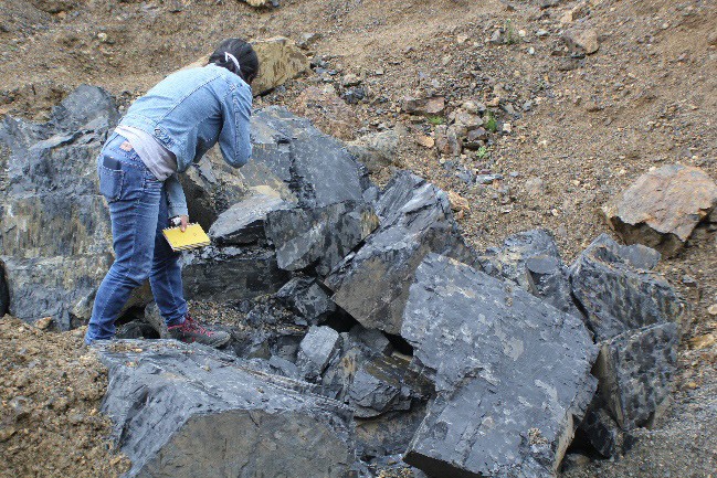antera de �ridos, sector Cachisagua, en Formaci�n Apagua (Paleoceno-Eoceno).