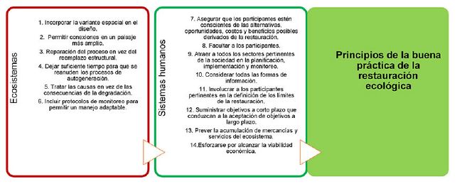 Principios de la buena pr&aacute;ctica de la restauraci&oacute;n
ecol&oacute;gica.
