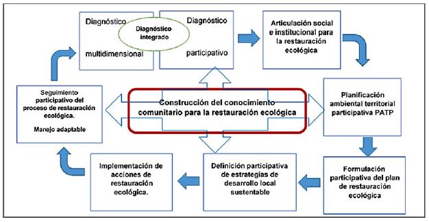 Modelo metodol&oacute;gico de
restauraci&oacute;n ecol&oacute;gica como estrategia de construcci&oacute;n social para el
desarrollo sustentable propuesto para la vereda Chipaut&aacute;, Guaduas
(Cundinamarca).