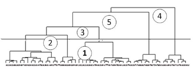 Dendograma
de la dimensi&oacute;n ambiental.